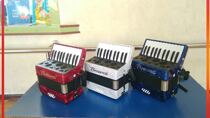  Beginner wine red new white Italian Boswell brand childrens piano imported accordion 8 bass
