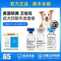 Imported Pfizer Weijia 5 Pet Weijia Five Pet Pet Pet Pet Plague Rabies Vaccine Become a Guarawo Package