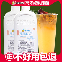 2kg yogurt multi-concentrated lactic acid bacteria milk tea shop special raw materials for yogurt more thick pulp yogurt bacteria