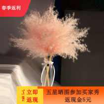ins Pink small reed dried flower bouquet Pu reed flower fresh home bedroom decoration net red decoration shooting props