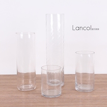 Lancol simple modern vase transparent straight glass flower arrangement bottle living room table decorations ornaments