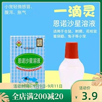 Enrofloxacin solution complete rabbit disease one drop of pet antibiotics anti-inflammatory drugs cold gastroenteritis drug