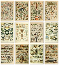 Poster Antique Wall Art Print Pictures Kraft paper Posters