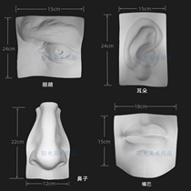 Real facial features set of gypsum model starting point from facial features to plaster head structure sketch book Stepping Stone