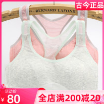 Pleasant Lanfen Underwear Special Cabinet Sports Bra Development Opening High School High School Students Special Price Clearance Young Girl Bra