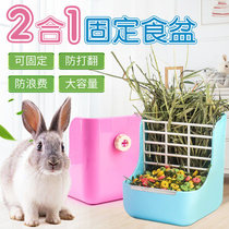 guinea pig Dutch pig tian geranium rabbit dragon cat special two-in-one grass rack food basin anti-abrasion