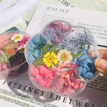 Photo small Daisy dried flower paste face petal makeup ins Net red wind veneer part decal photo decoration props