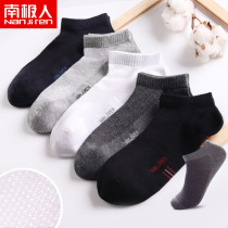Antarctic socks mens tide socks spring and summer thin cotton sweat absorption invisible boat socks low-top breathable Sports mens socks