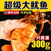 Whole big squid ready-to-eat spicy small seafood cooked food big shake sound Net red spicy Big Squid iron plate fresh