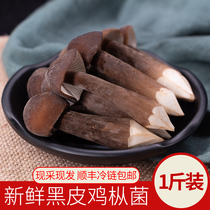 Fresh black chicken fir fungus 500g Yunnan specialty chicken fir mushroom soup mushroom chicken non-dry ingredients