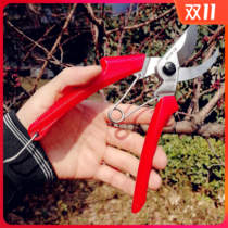New Sagawa Ji 120 horticultural pruning shears SK5 hand scissors bonsai flowers thick branches labor saving scissors garden fruit trees scissors