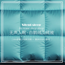 Hilton five-star hotel duvet 95 white goose down quilt single double quilt core thickened warm spring and autumn quilt