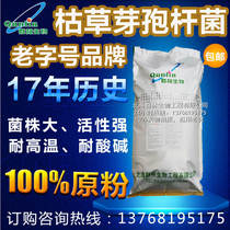 Special for the active strong aquatic feed agricultural planting of the cluster forest bio-Bacillus subtilis strain