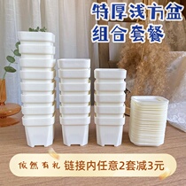 extra thick shallow square pot combination fleshy plastic sedum flower pot small black white leaf insert potted pp pot