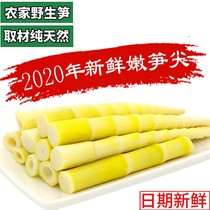 Fresh small bamboo shoots wild clear water bamboo shoots freshly dug bagged spring bamboo shoots hot pot tender bamboo shoots 5 kg arhat bamboo shoots square bamboo shoots