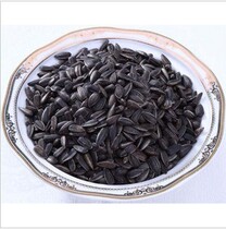 Hamster Squirrel Big Love Quality Little Black Pearl Melon Seeds 50 gr Dress Buy 3 Sending 1