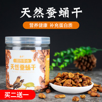 Silkworm pupa dried starling thrush lark food feed Crickets dried mole crickets dried high protein silkworm pupa powder