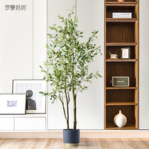 Roman Mother Nordic Wind Emulation Green Plant Olive Tree Potted Large Indoor Living Room Plant Floor Decoration Pendulum
