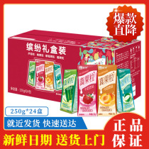 Mengniu real fruit milk drink 250g24 four kinds of flavors from 2 pieces# 72IW#