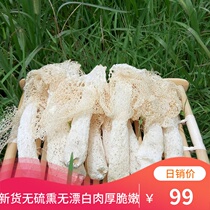 21 new bamboo fungus dry goods sulfur-free mushroom bamboo Sheng Yunnan specialty long skirt bamboo fungus super wild 250g
