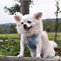 Doug mesh breathable protective chest and back traction rope Teddy Bai Bear Schnauzer dog rope pet supplies