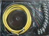 Special customized 12-core bundle pigtail FC PC ODF special 12-core bundle pigtail 12-core bundled jumper