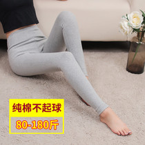 Pure cotton high-waisted autumn pants womens fat increase slim thin leggings wear a single elastic thin shirt pants lengthen