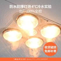 Flying carving lamp Warm type Warm lamp Bath bully toilet toilet heater Household bath bully lamp Bathroom ceiling embedded