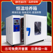 Electric constant temperature incubator laboratory microbial mold incubator