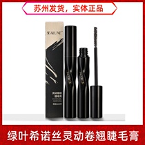 Green leaf shino hearty moving curly mascara waterproof fiber long roll and thick and lengthened without fainting makeup