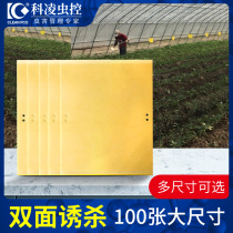 Armyworm board Yellow board trap board paper paste double-sided yellow sticky glue Small flying insect killing artifact Fruit fly thrips greenhouse