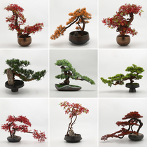 New Chinese Emulation Red Maple Tree Greet Guest Pine Bonsai Potted potted room Living room Book Room Xuanguan Green Planted Pendulum ornament