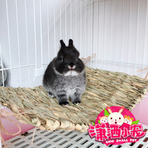 Japanese natural pie pets relax molars grass pad three-use cushion pad pad rabbit Chinchilla guinea pig hammock swing