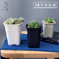 Cactus multi-meat square Vientiane basin plastic high-waisted basin twelve-roll planting pot fleshy square basin (10 prices)