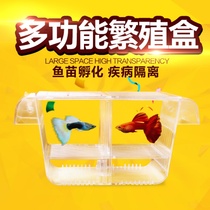 Tropical ornamental guppy multifunctional fish tank Small fry isolation breeding incubation box Size betta box