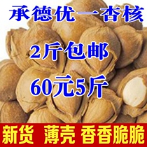 New Chengde specialty open with skin almonds 500 grams of nut snacks Hand-peeled Youyi apricot core fried goods dry goods
