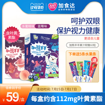 Add bear half and half lutein ester blueberry juice fudge Childrens eye protection protection vision anti-myopia candy non-patented