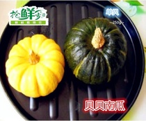 Fresh mini pumpkin(two) Color remarks Yellow and green Beibei Jiangsu Zhejiang and Shanghai 5 pieces