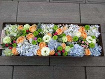 Red Rose Gift Box Anhui Huangshan City Tunxi Huangshan Huishan Huishan Huishan District