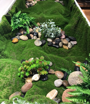  Hair planting stone skin simulation moss lawn moss stone long grass plant moss simulation plant wall background decoration