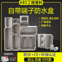Outdoor plastic waterproof junction box Bring your own terminal monitoring cable 10P WIRE BOX ABS WIRE SEALING METER BOX