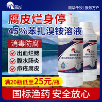 Rotten Piste off Benzalkonium Bromide Solution Aquiculture Fish Pond Storm Blood Stop Bleeding Lilygill And Sanitizing Sanitizing Medicine