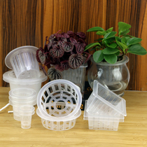 Hydroponic plant basket root fixer plastic planting blue purple sand orchid flower pot leaky breathable leaching hydrophobic cover colonization