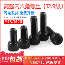 Cylindrical head national standard 12 9 grade high-strength black inner hexagonal screw bolt M18M20 * 30 35 40 50