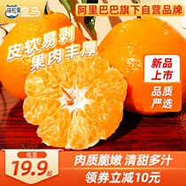 Sichuan Spring See Harrowing Citrus Fruits 3 Catties Fresh When Season Fruit Whole Boxes Citrus Tangerine Orange Ugly Orange 10
