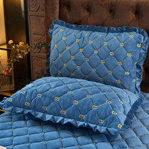 Winter Lotus Leaf Side Coral Suede Pillowcase Pair of Thickened Warm Crystal Suede Milk Suede Pillow Core Set Single Double