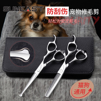 Professional pet grooming scissors set Teddy hair straight scissors Tooth scissors Dog hair scissors tool Dog hair shearing artifact