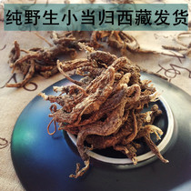 Tibet wild angelica authentic Tibetan angelica sulfur-free soup good material origin delivery 250g