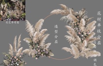 Reed autumn color flower art wedding hand-painted flower psd champagne Green fan Thai outdoor simple style material