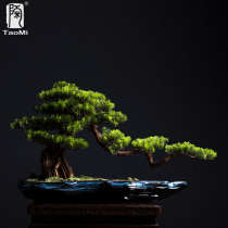 Ceramic fan home welcome pine simulation bonsai ceramic base Living room entrance green plant ornaments New Chinese Zen decoration